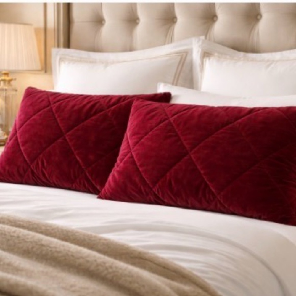 2 Pottery Barn Burgundy Velvet Quilted Standard Luxurious Pillow Covers 20 x 26